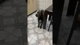 🤣🤣🤣 