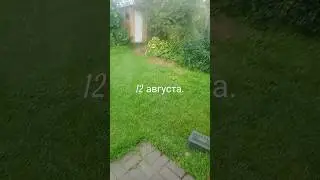 Ярославская область.Дожди каждый день.