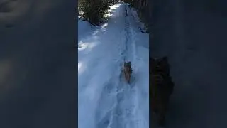 9е апреля. Наконец то весна🙂