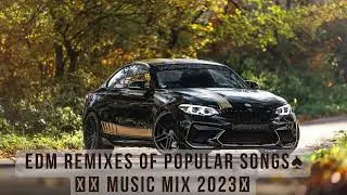 103  EDM Remixes of Popular Songs♠️👑🥀 Music Mix 2023👑