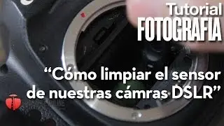 Cómo limpiar el sensor de nuestra cámara DSLR (Canon o Nikon)