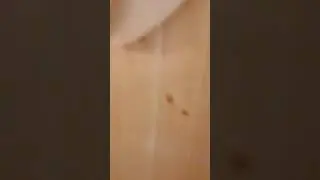баня