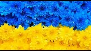 НАША УКРАИНА!!!