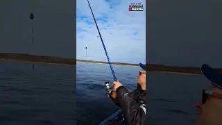С ПЕРВОМАЕМ рыбаки.#teamправильнаяподсечка #shorts