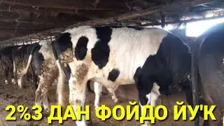 РАССИЯДА 500$ ИШИНГИЗ БУ'ЛСА УЗГА КЕЛМАНГ АФСУСЛАНАСИЗ.