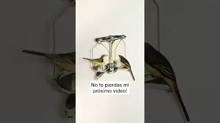 Mañana ESTRENO video de proceso de trabajo! Collagea conmigo!