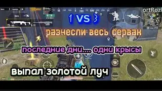 выпал золотой луч😊😊😊| под конец сезона все играют в крысу.....| разнесли сервак| топ тима|