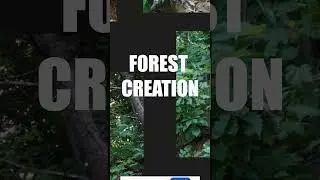 Forest Creation Lk Dev 2  #cgi #unrealengine  #animation #cinematic #greenscreen #aftereffects #ue5