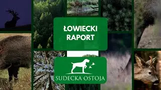 ŁOWIECKI RAPORT - SUDECKA OSTOJA #10
