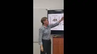 К. Ф. Н, Учёный, Биолог Светлана Ломбоева. Отличие Трансфер Фактора от других БАД( ов) и Лекарств.