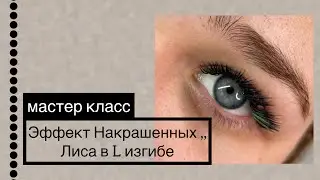 Наращивание ресниц «Мокрый эффект, Лиса в L изгибе»