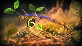 After Effects Project Files   Spring Leaves Logo   VideoHive
