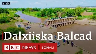 Dalxiiska Degmada Balcad