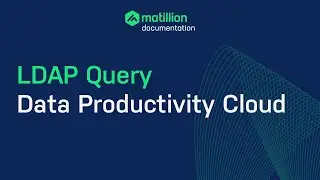 Matillion Data Productivity Cloud | How to Connect to LDAP Data