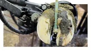 There’s a BIG LESION under this MESS   (MEMBER VIDEO)