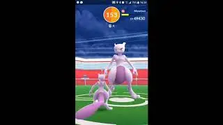Mewtwo 31.01.2017