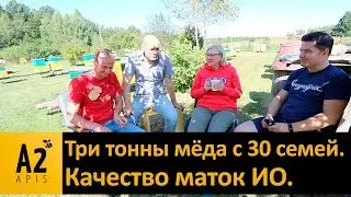 30 семей = 3 т. меда! На что способны матки ИО 