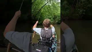 Bass Pro XPS Chaos Shad!! #fishing #bassfishing
