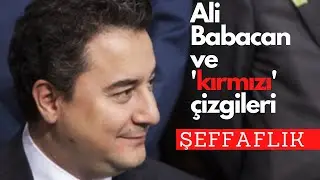 Ali Babacan - Şeffaflık(2002)