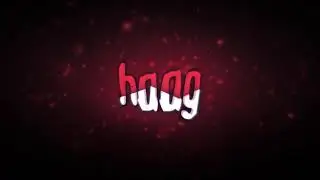Intro - haag