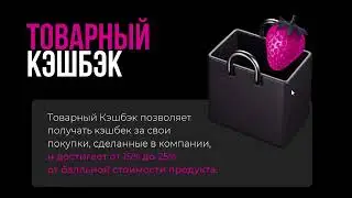 Выплаты по партнерской программе. Ewa Product маркетинг и бонусы