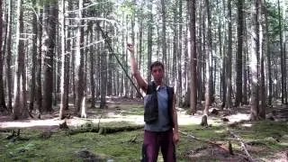 Mastering the Poi Spinning Basics: Planes
