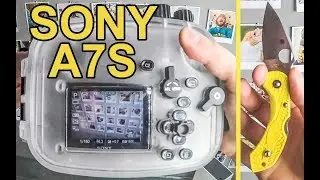 Best underwater diving housing? 💦 Puluz case for Sony A7 / A7S / A7R review
