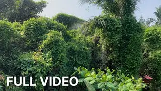SURPRISE We Cleaning MAFIA'S Beautiful Villa | Mow OVERGROWN Grass Villa ABANDONED For 50 Year