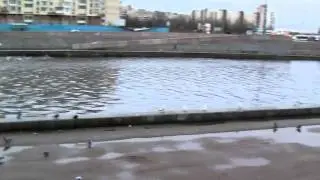 река Смоленка