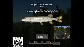 Русская рыбалка 4 . Старый Острог. Щука