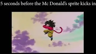5 seconds before the Mc D's sprite kicks in meme