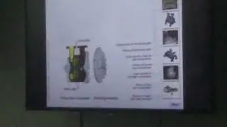 axial compressor