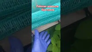 Рабочие моменты. Про полив