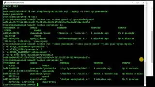 Guacamole on Docker / Windows on Browser (HTML)