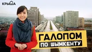 Galloping Through Shymkent: History and Interesting Facts About the City. Krisha KZ