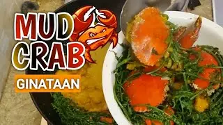MUD CRAB|GINATAAN