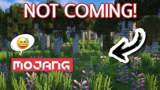 Minecraft's MANY Delayed Features...