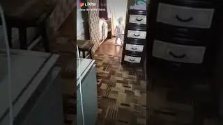 Смешные дети