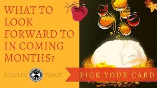 What to Look Forward to in Coming Months? ~ Pick a Card | Simplee Tarot