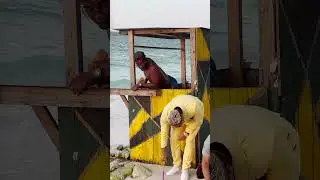 La varita