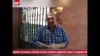 Как легко отличить ядовитую змею от неядовитой