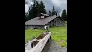 Amazing Switzerland Trip Such A Beautiful Place 😍