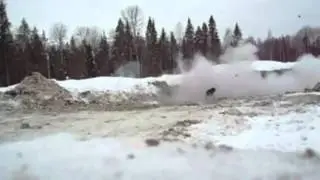 How a Russian dog is born