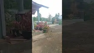 Main tanah sore2 #shorts #cutebaby  #babyplayingsand #dirtyhands #viral