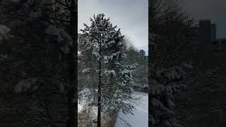 У нас много снега, солнца и тишина.