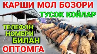 КАШКАДАРЁДА КАРШИ МОЛ БОЗОРИ НАРХЛАРИ 2021 QARSHI MOL BOZORI NARXLARI