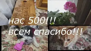 Нас 500!!! Спасибо огромное  что вы со мной!!!