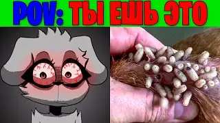 POV: Ты ешь только это