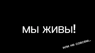 Новостное видео о ЛО