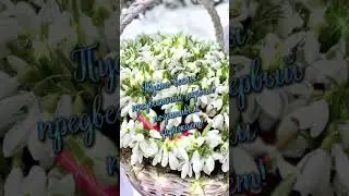 С Днём Подснежника!
